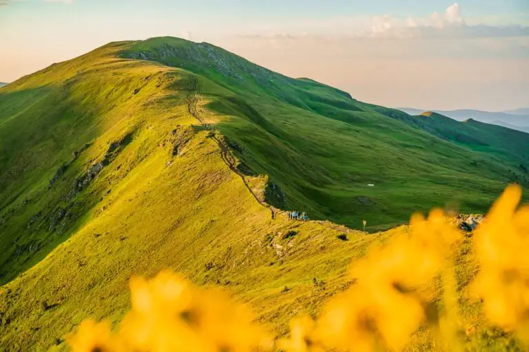 © TMG_Peter Maier